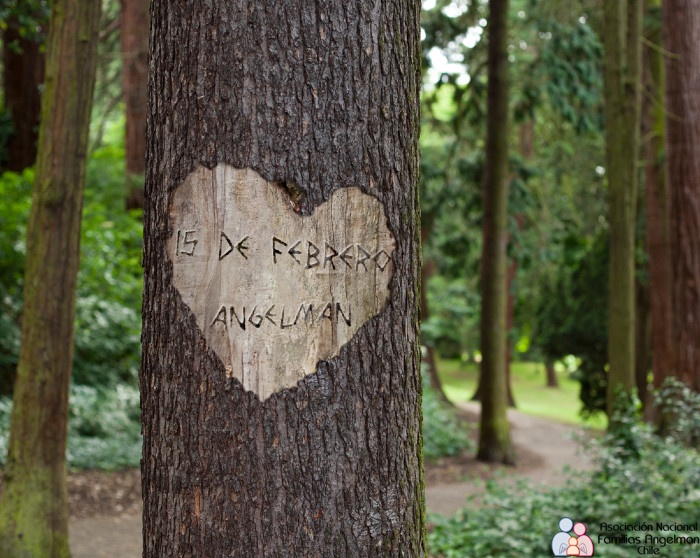 PhotoFunia Talla en árbol Normal 2016-02-09 01 11 55.jpg