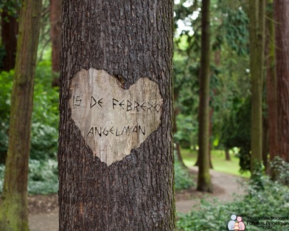 PhotoFunia Talla en árbol Normal 2016-02-09 01 11 55