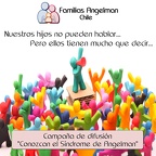 Afiches y dipticos